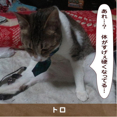 20190605_touko.jpg