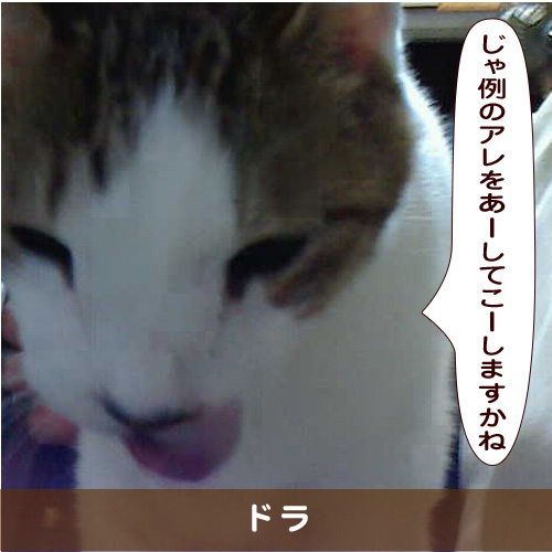 20190606_touko.jpg