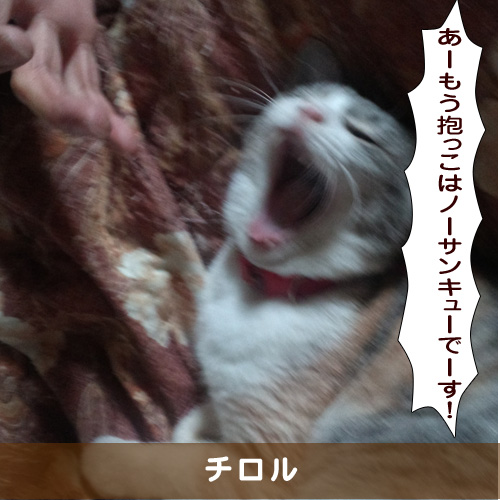 20190607_touko.jpg