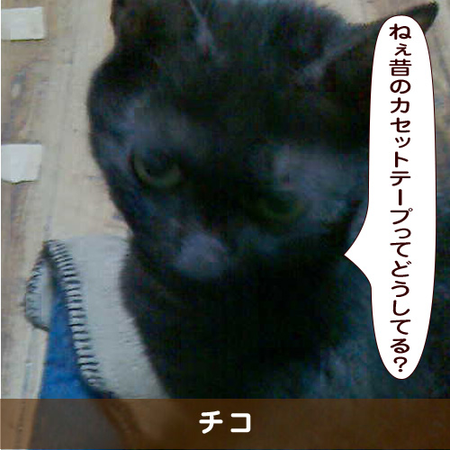 20190608_touko.jpg
