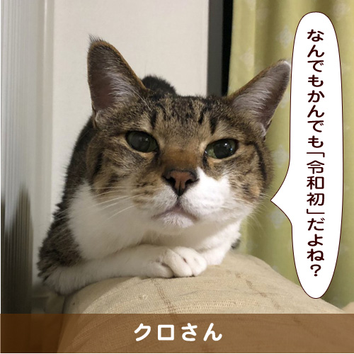 20190609_touko.jpg