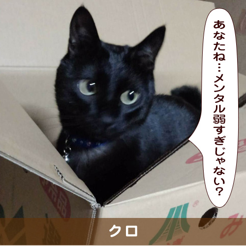 20190610_touko.jpg