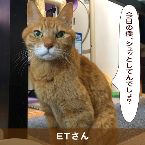 20190611_touko.jpg