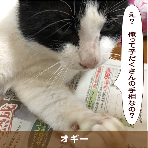 20190612_touko.jpg