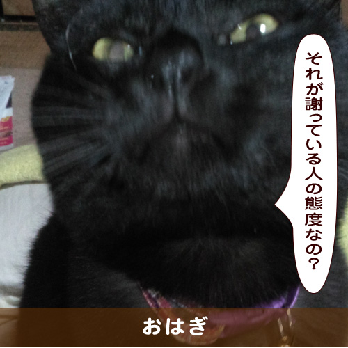 20190613_touko.jpg