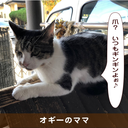 20190614_touko.jpg