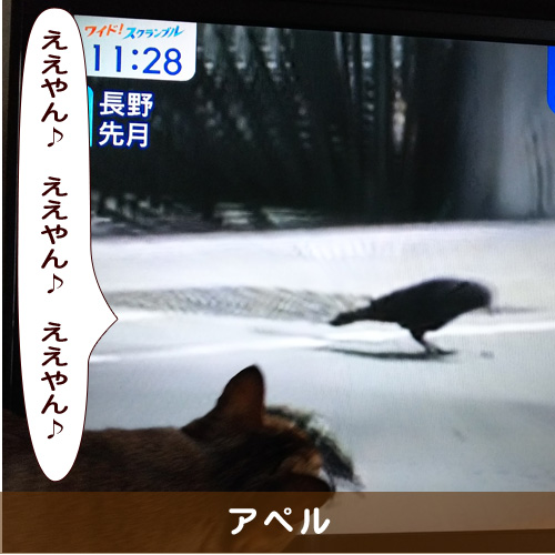 20190616_touko.jpg