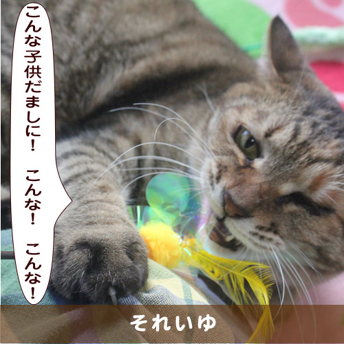 20190617_touko.jpg