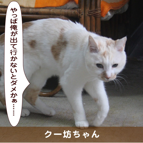 20190618_touko.jpg