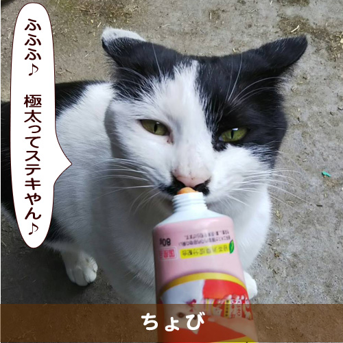 20190619_touko.jpg