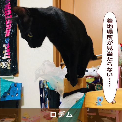 20190620_touko.jpg