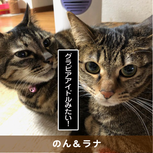 20190622_touko.jpg