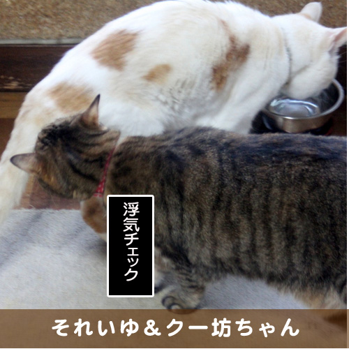 20190624_touko.jpg