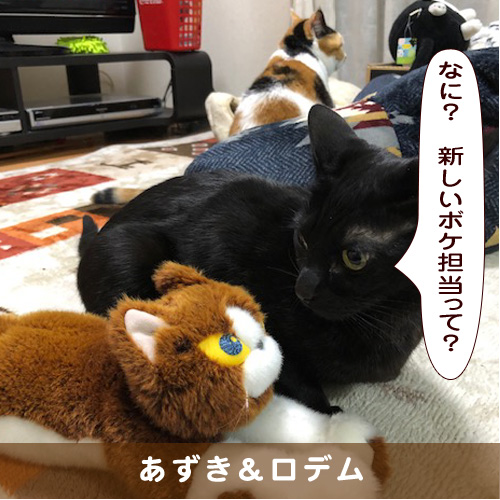 20190625_touko.jpg
