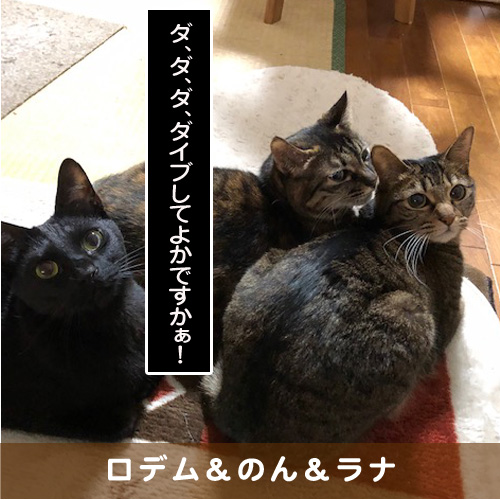 20190627_touko.jpg
