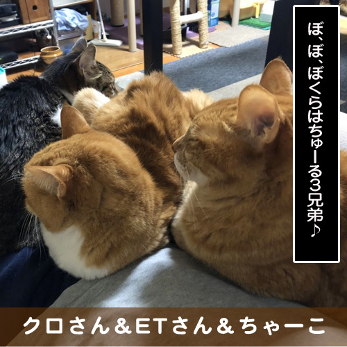 20190628_touko.jpg