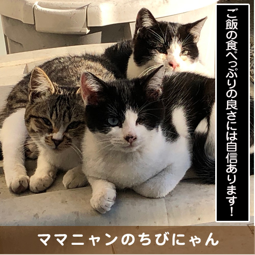 20190629_touko.jpg