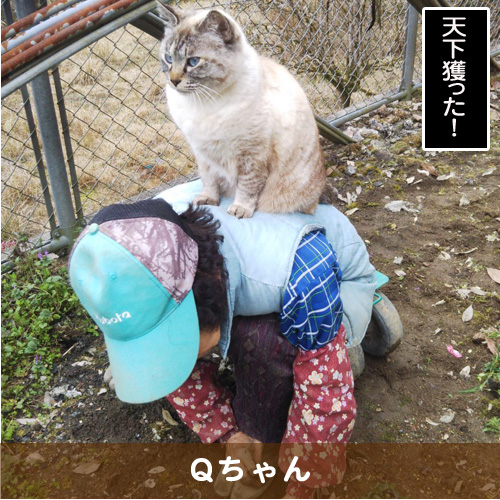 20190630_touko.jpg