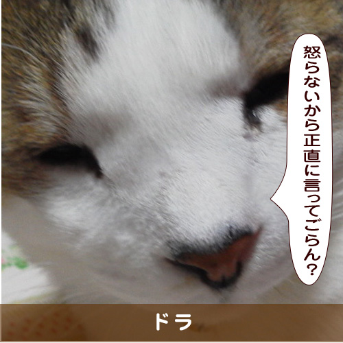 20190702_touko.jpg