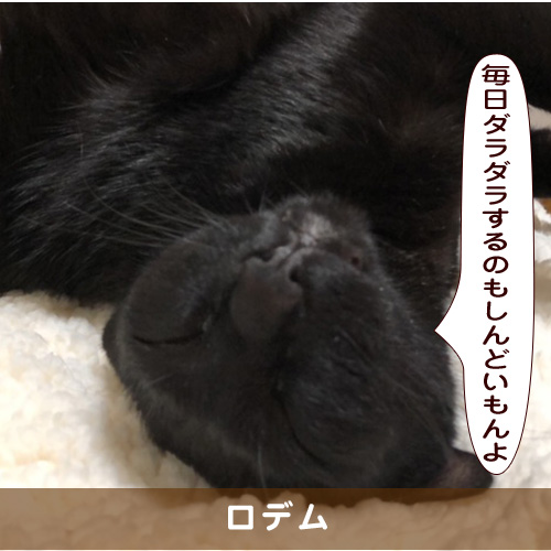 20190703_touko.jpg