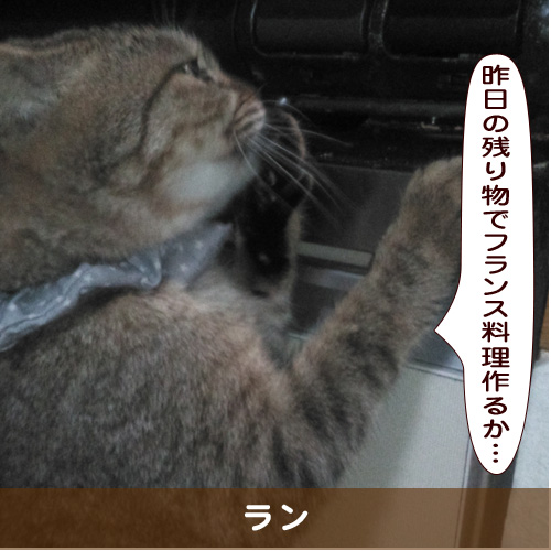 20190704_touko.jpg