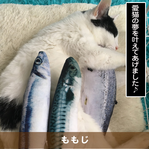 20190705_touko.jpg