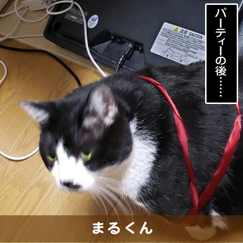 20190706_touko.jpg