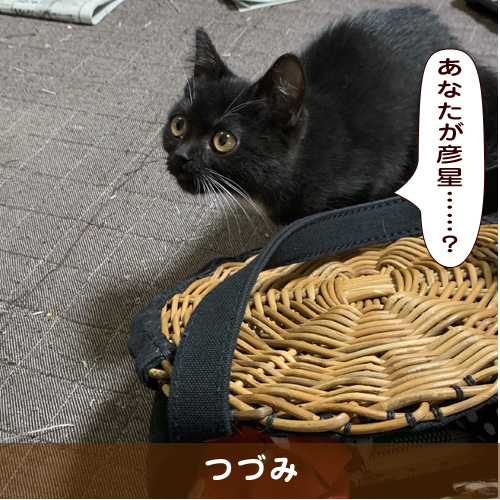 20190707_touko.jpg