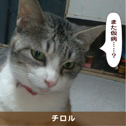 20190708_touko.jpg