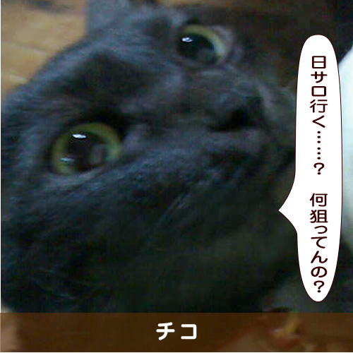 20190709_touko.jpg