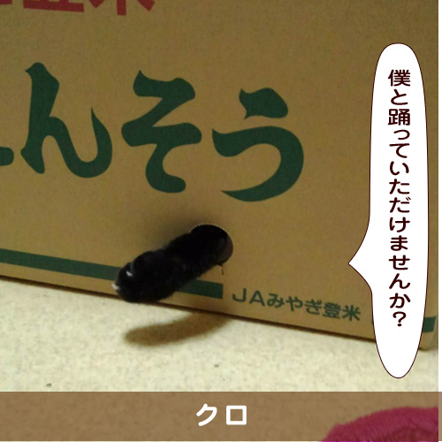 20190710_touko.jpg