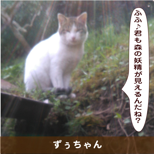 20190711_touko.jpg
