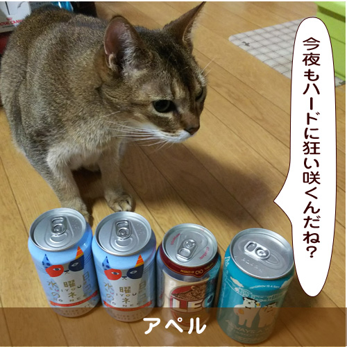 20190712_touko.jpg