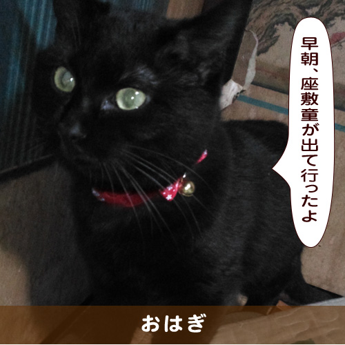 20190713_touko.jpg