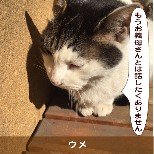20190714_touko.jpg