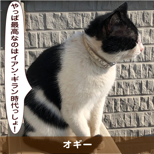 20190715_touko.jpg
