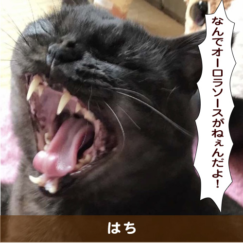 20190717_touko.jpg