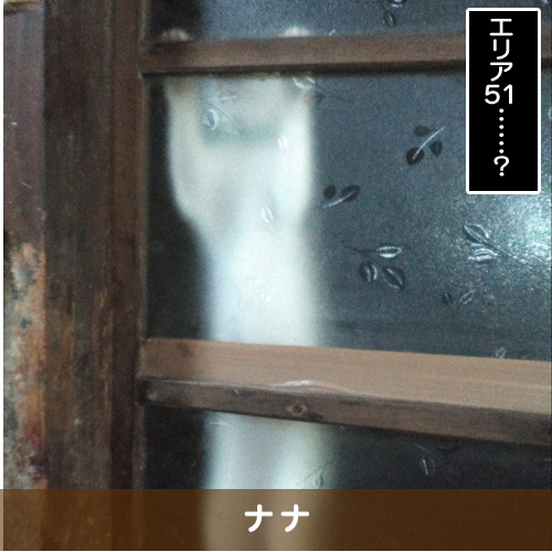 20190718_touko.jpg