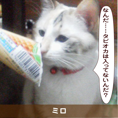20190719_touko.jpg