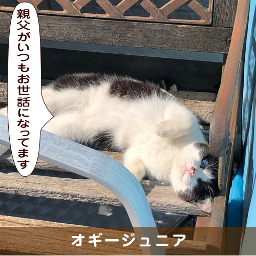 20190720_touko.jpg