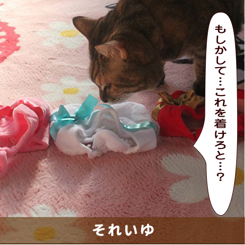20190722_touko.jpg
