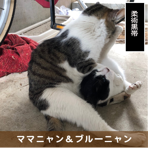 20190723_touko.jpg
