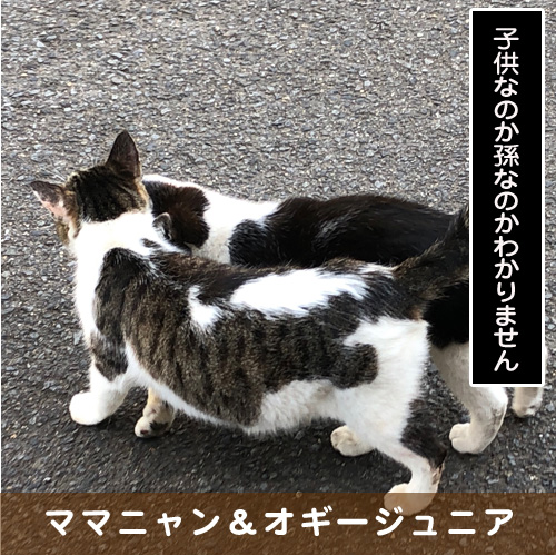 20190725_touko.jpg