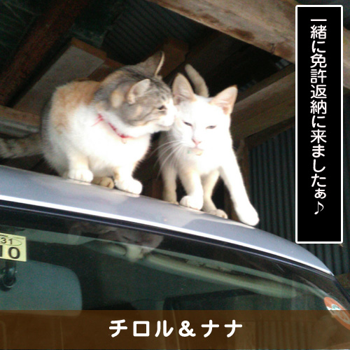 20190726_touko.jpg