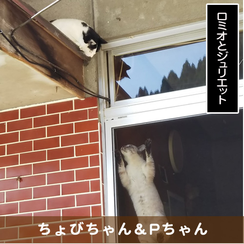 20190727_touko.jpg