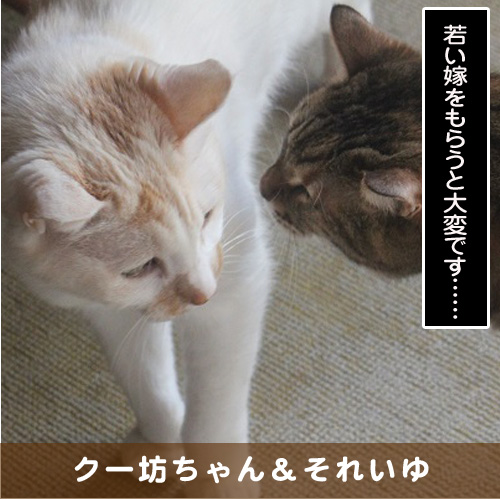 20190728_touko.jpg