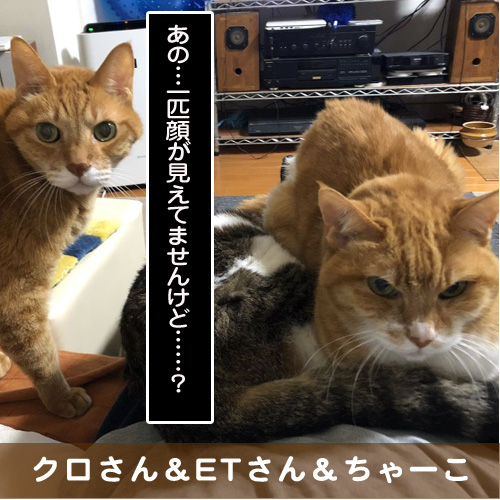 20190730_touko.jpg