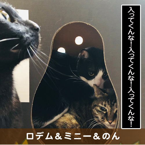 20190731_touko.jpg