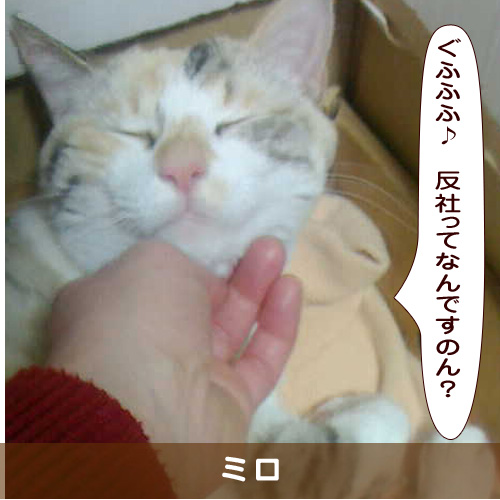 20190802_touko.jpg