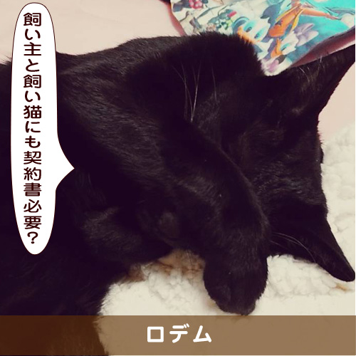 20190803_touko.jpg